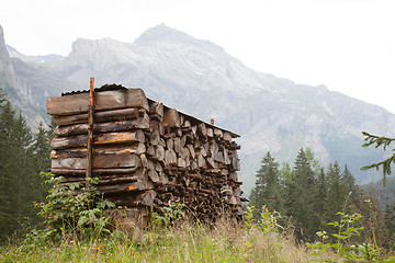 Image showing Chopped wood waiting for the winter