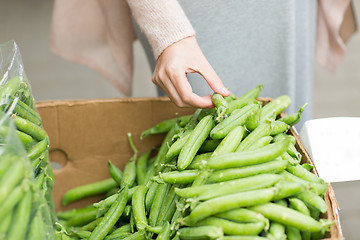 Image showing woman hand choosing green peas at street market