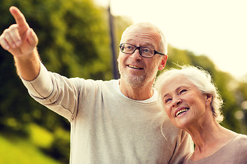 Image showing senior couple in park