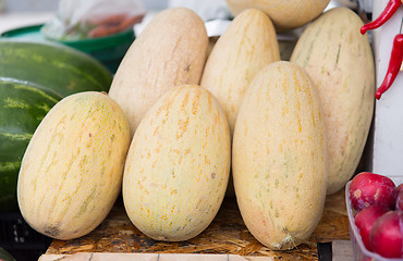 Image showing close up of melon at street farmers market