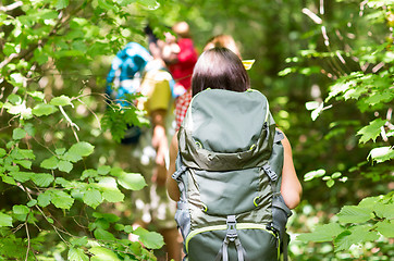 Image showing close up of friends with backpacks hiking