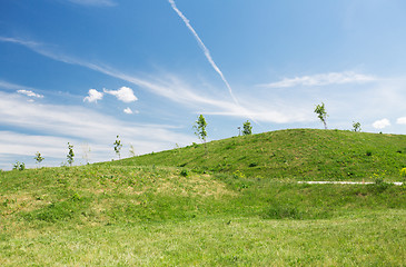 Image showing summer green field and hills over blue sky 