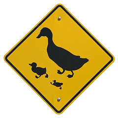 Image showing Duck Crossing