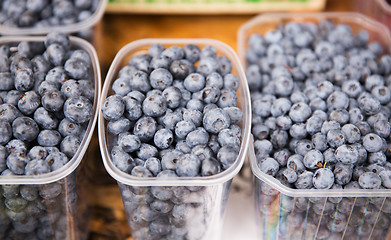 Image showing close up of blueberries in boxes at street market