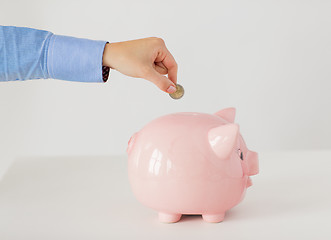 Image showing close up of hand putting coin into piggy bank