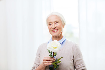 Image showing happy senior woman with rose flower at home