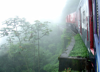 Image showing Train in the tropical forest in South of Brazil