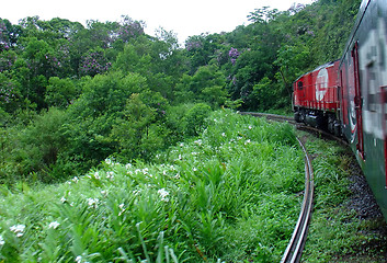 Image showing Train in the tropical forest in South of Brazil