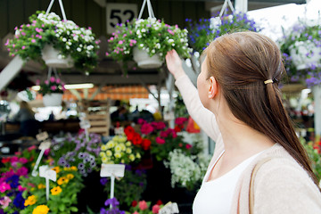 Image showing woman choosing flowers at street market