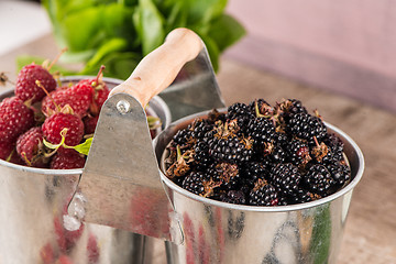 Image showing Metal buckets with fresh berries