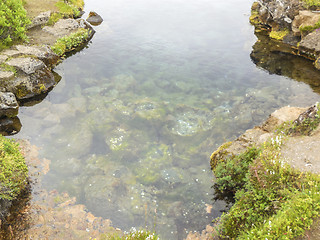 Image showing riparian detail in Iceland