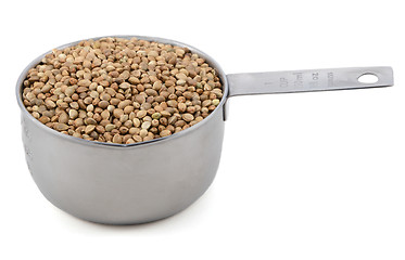 Image showing Hemp seeds in a measuring cup