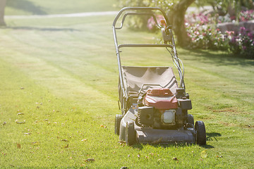 Image showing Modern gasoline lawn mower