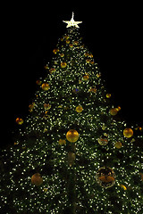 Image showing christmas tree and lights 