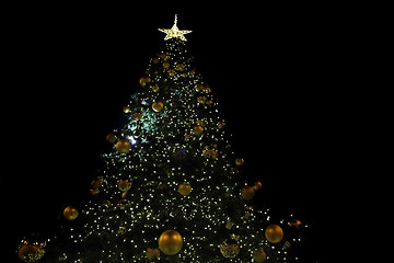 Image showing christmas tree and lights 