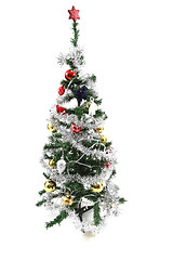 Image showing christmas tree isolated 