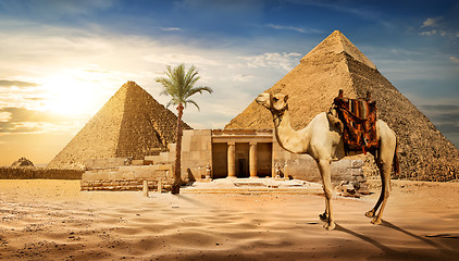 Image showing Entrance to pyramid