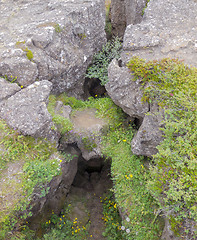 Image showing overgrown stones