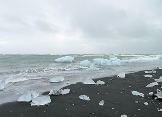Image showing coastal iceberg scenery