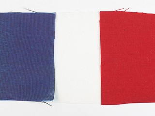 Image showing Flag of France