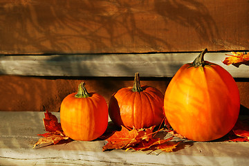 Image showing Pumpkins on the stairs