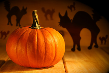 Image showing One pumpkin