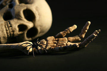 Image showing Scary skeleton