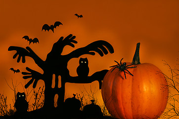 Image showing Spooky tree with pumpkin