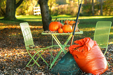 Image showing Raking autumn leaves