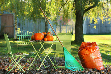 Image showing Pumpkins on the table