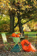 Image showing Raking leaves