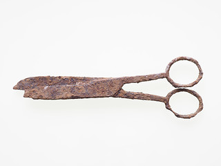 Image showing Rusted scissors