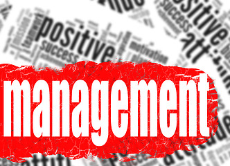 Image showing Word cloud management business sucess concept