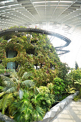 Image showing Cloud Forest at Gardens by the Bay in Singapore