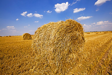 Image showing straw stack 