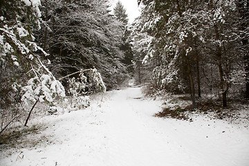 Image showing  road winter