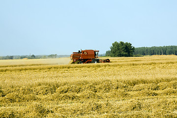 Image showing cleaning wheat