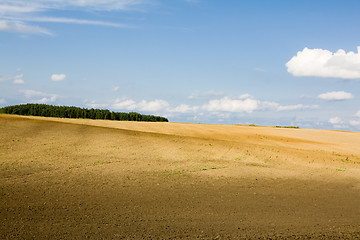 Image showing  harvest company