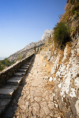 Image showing fortress. Kotor  