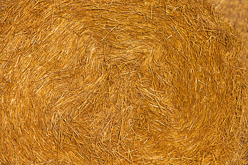 Image showing straw stack  