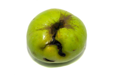 Image showing Green Apple 