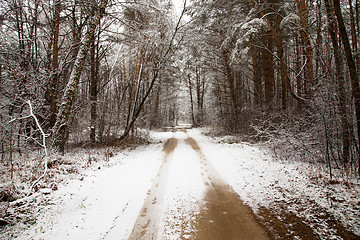 Image showing  road winter