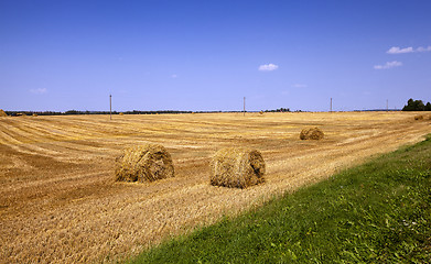 Image showing straw stack 