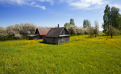 Image showing the house 