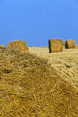 Image showing straw stack  