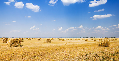 Image showing straw stack  