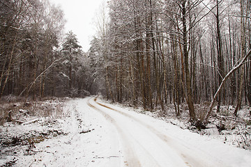 Image showing  road winter