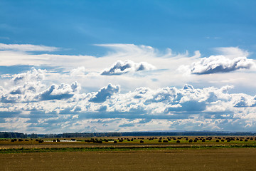 Image showing agricultural field  