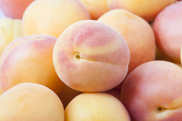 Image showing heap of apricots  