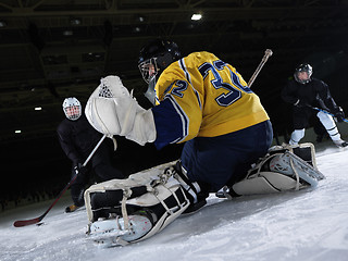 Image showing ice hockey goalkeeper